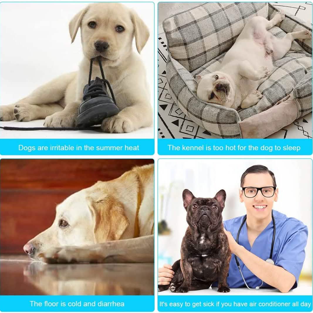 Cooling Dog Mat | Summer Pet Cooling Pad | Relief for Dogs in the Heat